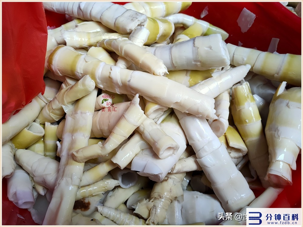 苦竹笋怎么做好吃(苦竹笋怎么做好吃家常做法)插图 苦竹笋怎么做好吃(苦竹笋怎么做好吃家常做法)插图