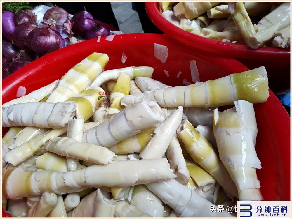 苦竹笋怎么做好吃(苦竹笋怎么做好吃家常做法)插图6 苦竹笋怎么做好吃(苦竹笋怎么做好吃家常做法)插图6