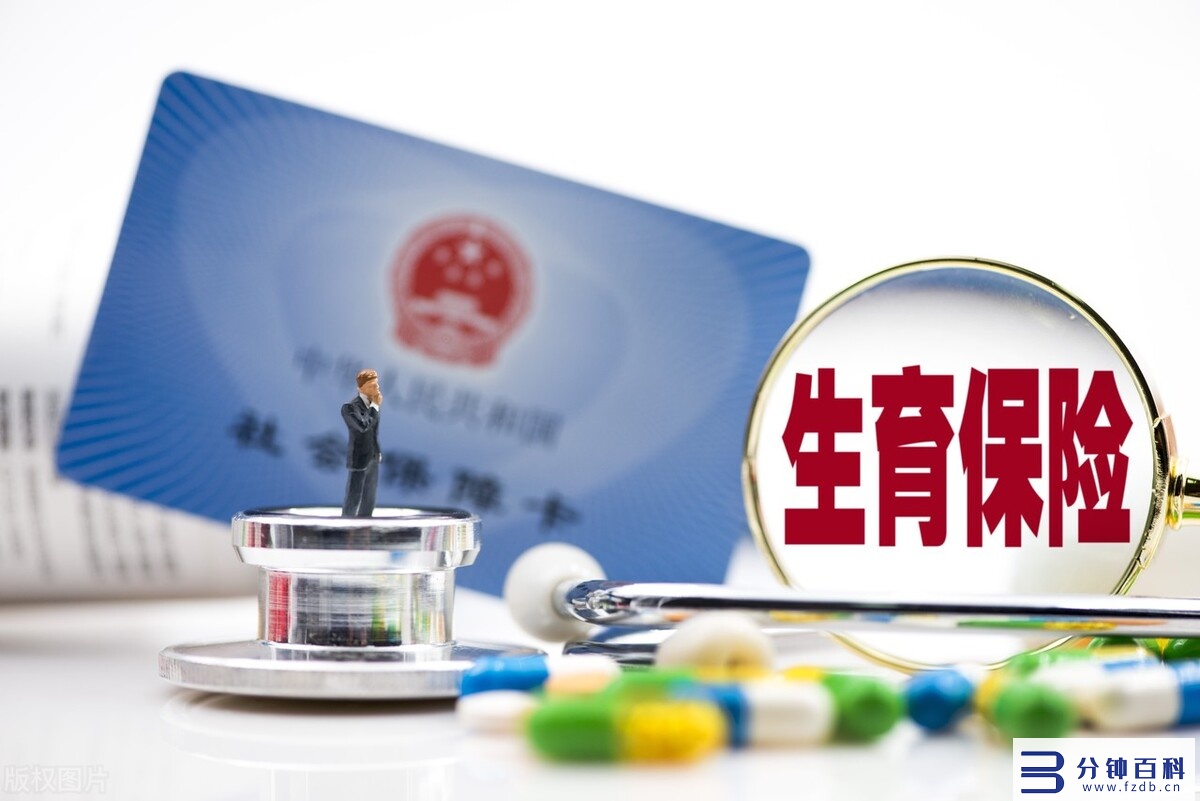 生育保险报销范围和标准(内蒙古生育保险报销范围和标准)插图2 生育保险报销范围和标准(内蒙古生育保险报销范围和标准)插图2