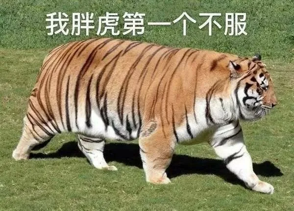 九虎念什么(虓怎么读)插图 九虎念什么(虓怎么读)插图