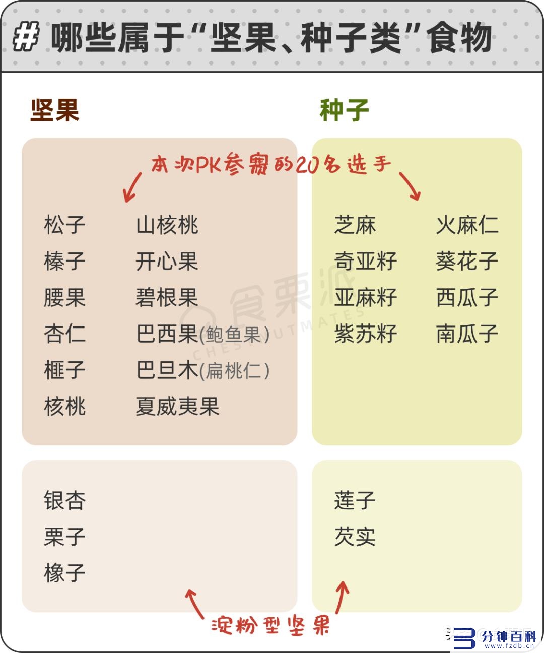 十大坚果营养的排名(十大坚果营养的排名陕西省会)插图1 十大坚果营养的排名(十大坚果营养的排名陕西省会)插图1
