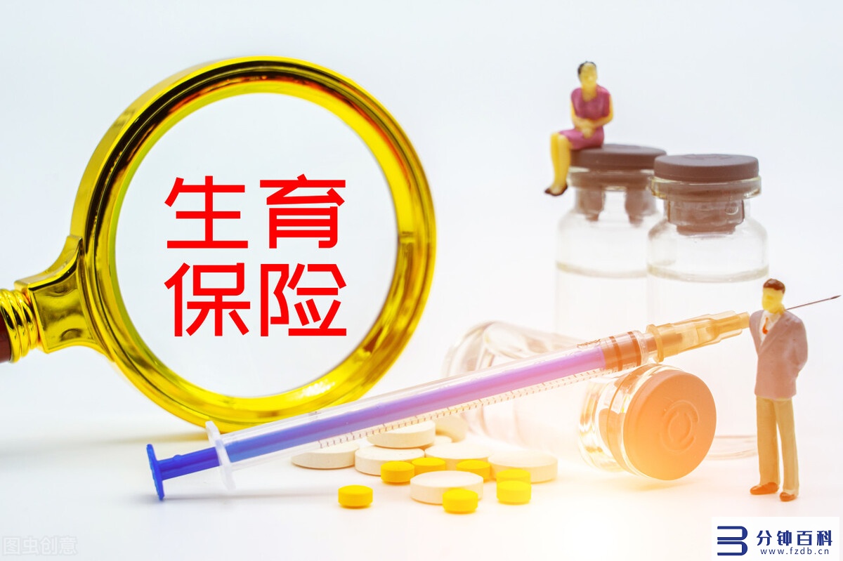 生育保险报销范围和标准(内蒙古生育保险报销范围和标准)插图3 生育保险报销范围和标准(内蒙古生育保险报销范围和标准)插图3