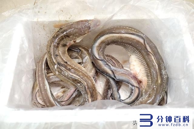 精煮饭和快煮饭的区别_电饭煲的精煮饭和快煮饭的区别插图1 精煮饭和快煮饭的区别_电饭煲的精煮饭和快煮饭的区别插图1
