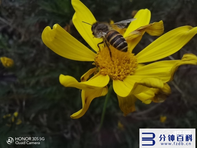 荣耀30s参数配置_华为荣耀30s参数配置插图24 荣耀30s参数配置_华为荣耀30s参数配置插图24