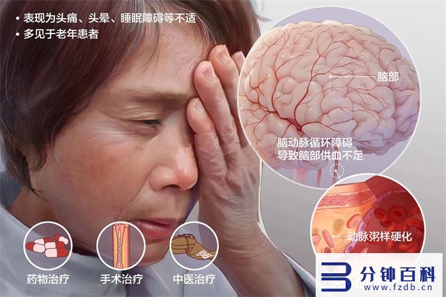 血液循环不好如何改善(小腿血液循环不好如何改善)插图2 血液循环不好如何改善(小腿血液循环不好如何改善)插图2