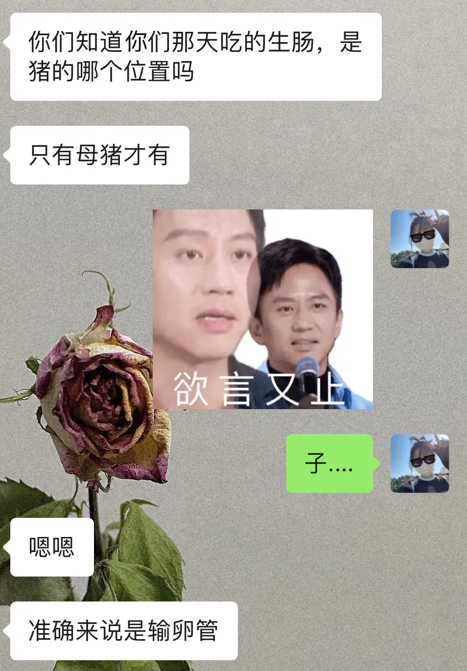猪生肠是什么部位(猪生肠是什么肠)插图5 猪生肠是什么部位(猪生肠是什么肠)插图5