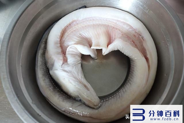 精煮饭和快煮饭的区别_电饭煲的精煮饭和快煮饭的区别插图7 精煮饭和快煮饭的区别_电饭煲的精煮饭和快煮饭的区别插图7