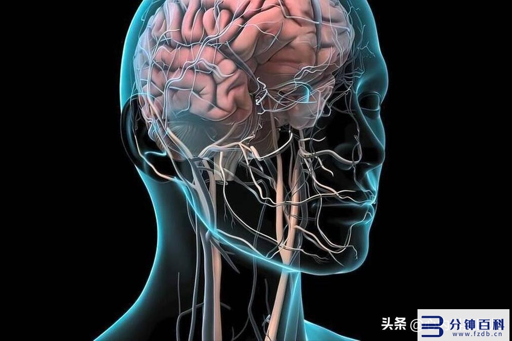 血液循环不好如何改善(小腿血液循环不好如何改善)插图6 血液循环不好如何改善(小腿血液循环不好如何改善)插图6
