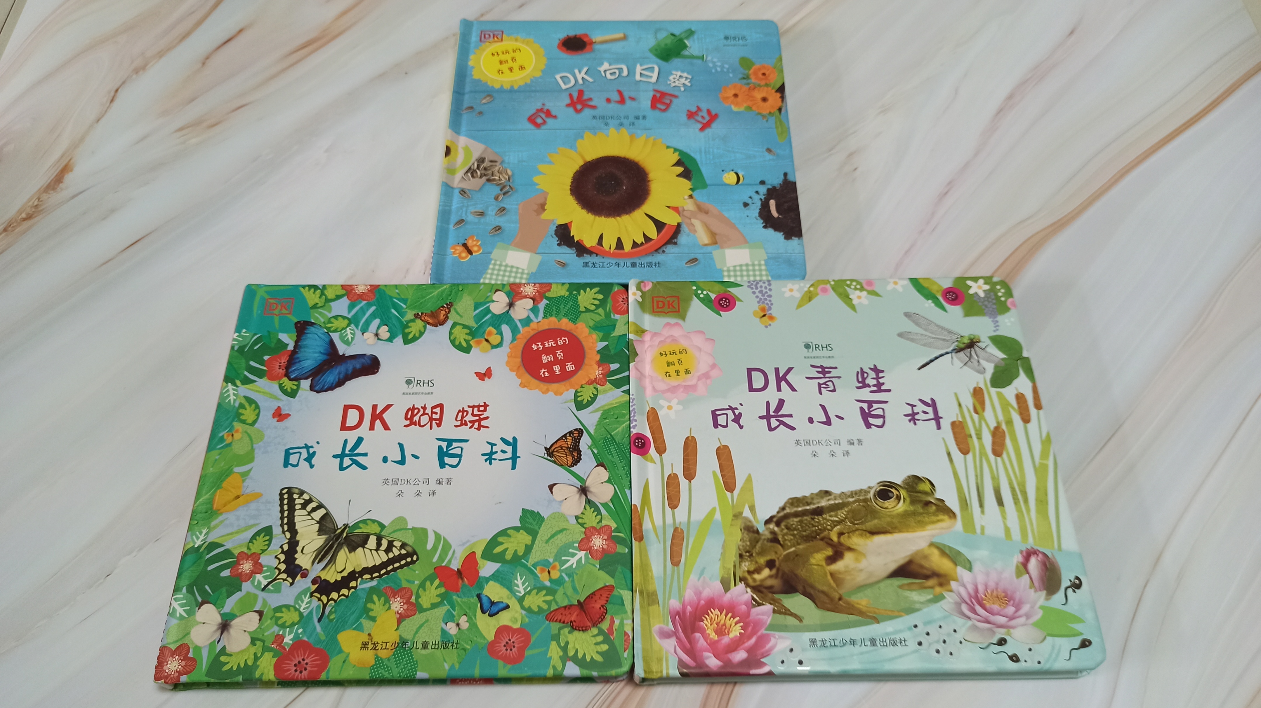 青蛙生长的五个过程插图1 青蛙生长的五个过程插图1