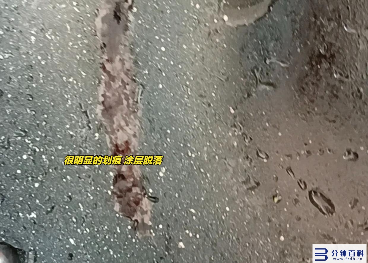 雪平锅优缺点_雪平锅优缺点知乎插图12 雪平锅优缺点_雪平锅优缺点知乎插图12