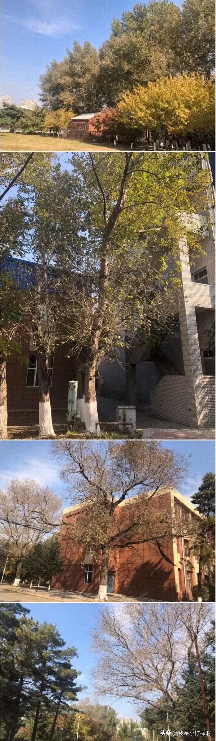 长春医学高等专科学校怎么样_长春医学高等专科学校怎么样好不好插图6 长春医学高等专科学校怎么样_长春医学高等专科学校怎么样好不好插图6