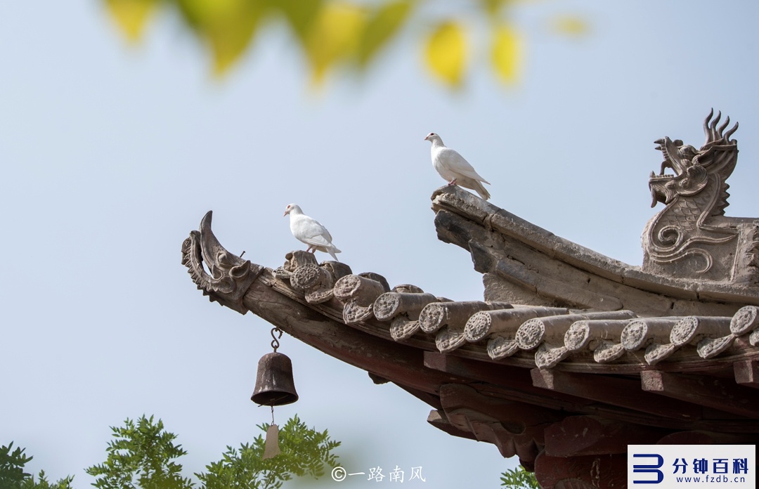 西宁属于几线城市_西宁属于几线城市2023插图11 西宁属于几线城市_西宁属于几线城市2023插图11