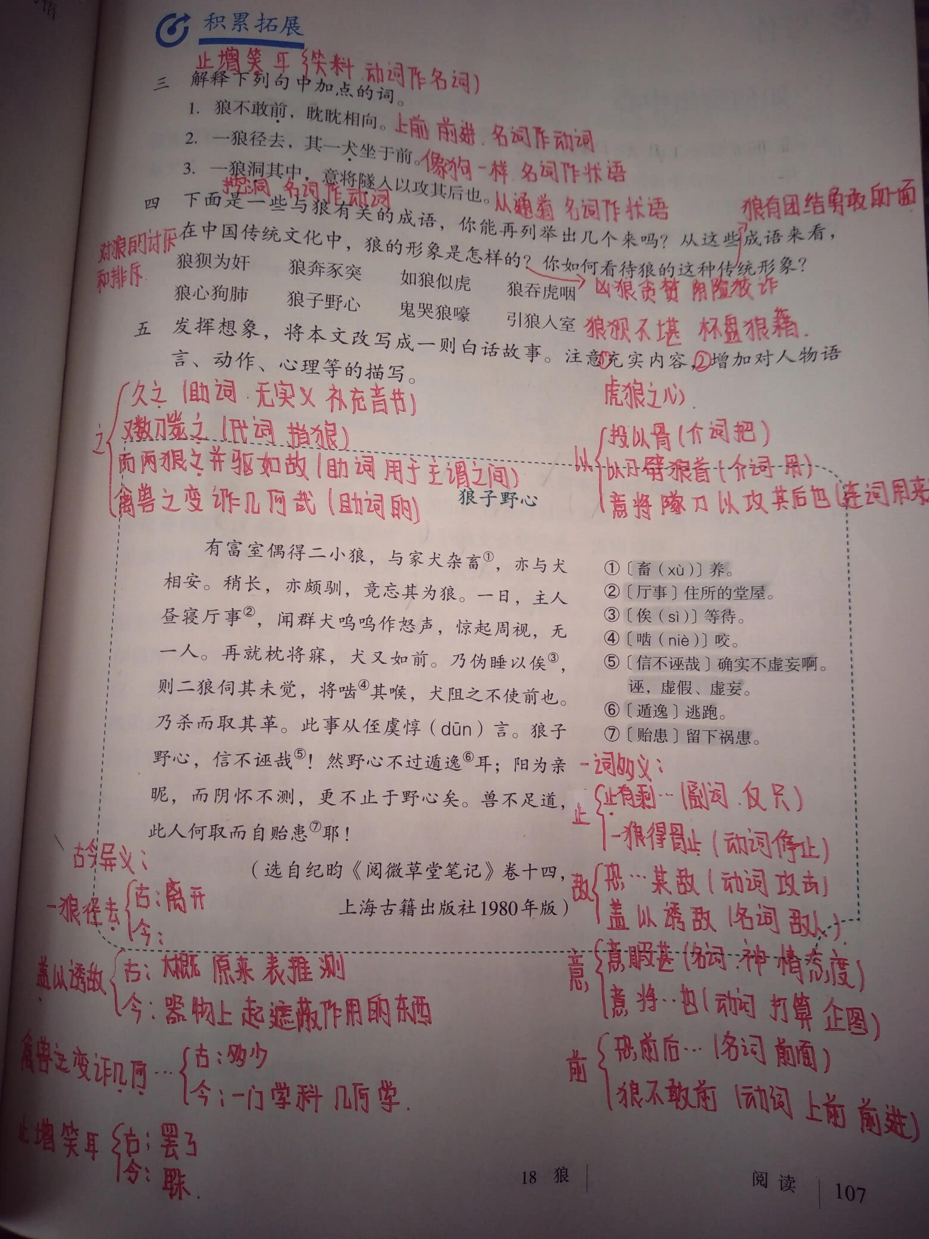 止增笑耳_止增笑耳 止插图2 止增笑耳_止增笑耳 止插图2