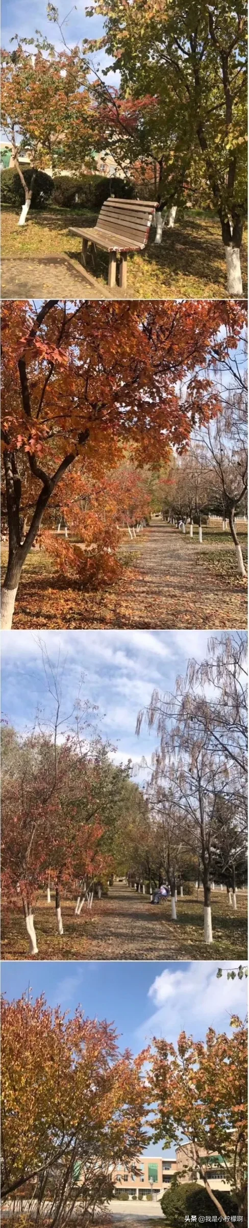 长春医学高等专科学校怎么样_长春医学高等专科学校怎么样好不好插图7 长春医学高等专科学校怎么样_长春医学高等专科学校怎么样好不好插图7