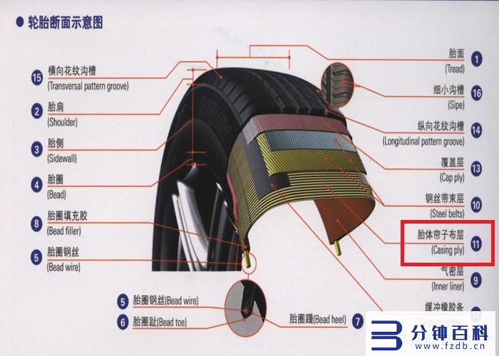 轮胎全部参数,轮胎参数插图2 汽车轮胎规格参数的含义,一文教你认清楚