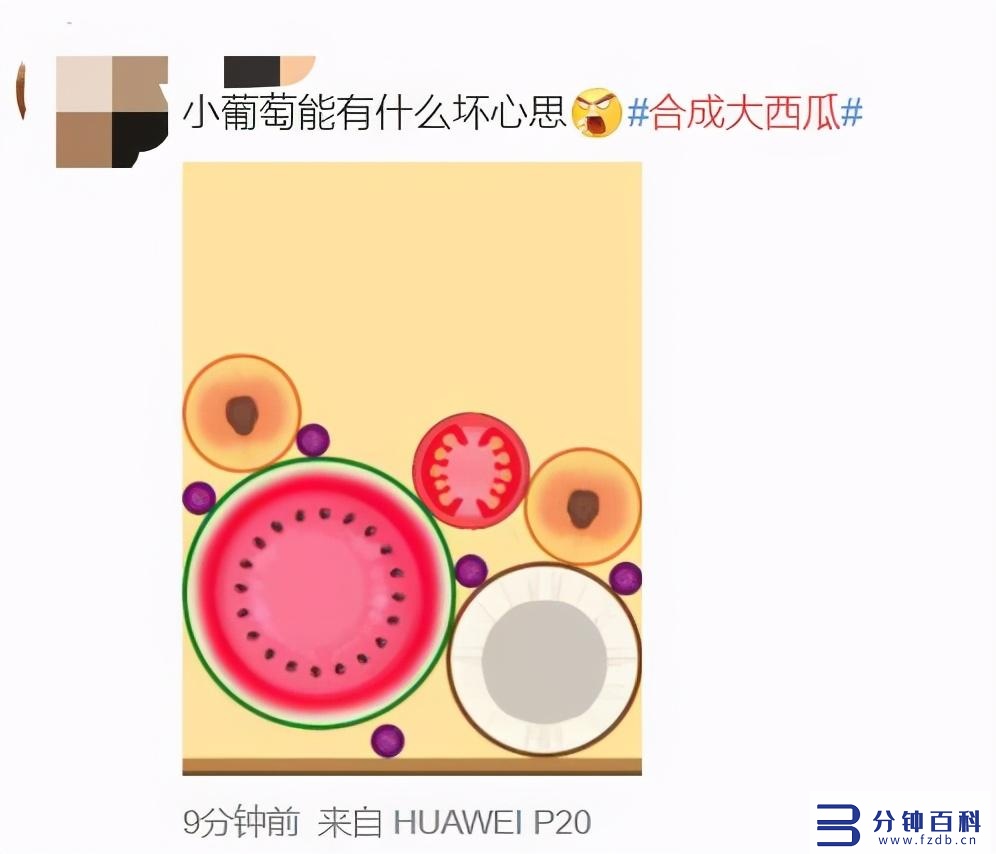 有一个专门吃瓜的网页是啥(哪些网站可以吃瓜)插图22 有一个专门吃瓜的网页是啥(哪些网站可以吃瓜)插图22