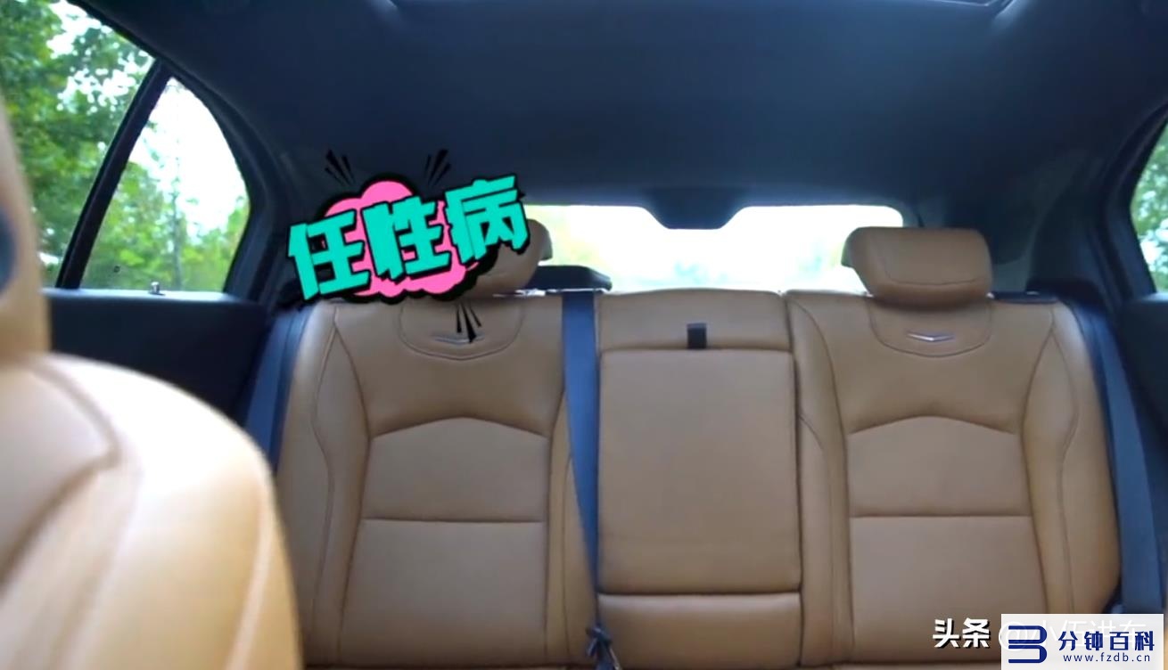 凯迪拉克的优缺点(凯迪拉克的优缺点及特点)插图5 凯迪拉克的优缺点(凯迪拉克的优缺点及特点)插图5