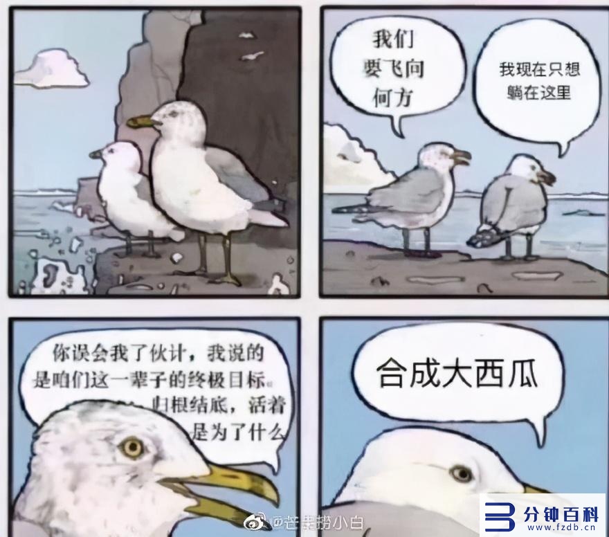 有一个专门吃瓜的网页是啥(哪些网站可以吃瓜)插图18 有一个专门吃瓜的网页是啥(哪些网站可以吃瓜)插图18