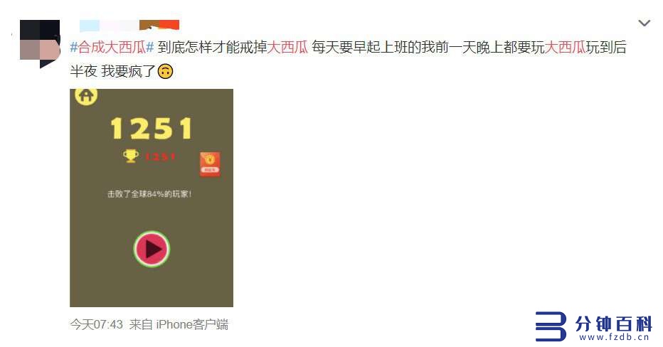 有一个专门吃瓜的网页是啥(哪些网站可以吃瓜)插图17 有一个专门吃瓜的网页是啥(哪些网站可以吃瓜)插图17