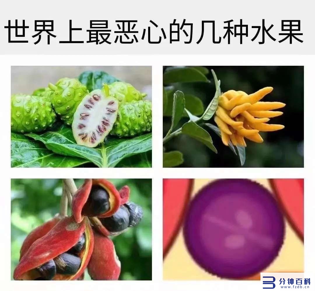 有一个专门吃瓜的网页是啥(哪些网站可以吃瓜)插图21 有一个专门吃瓜的网页是啥(哪些网站可以吃瓜)插图21